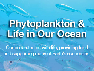 Our ocean teems with life, providing food and supporting many of Earth’s economies. Credit: NASA GSFC