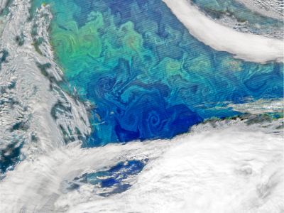 Every spring and fall, millions of microscopic plants bloom to color the North Atlantic with vivid strokes of blue, turquoise, green, and brown. NAAMES seeks to understand bloom processes for better ocean management and assessment of ecosystem change. Credit: Norman Kuring (NASA)