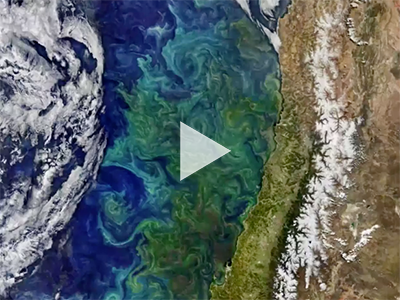 This montage of ocean color and other coastal observations was created by NASA for World Oceans Month 2018. Credit: NASA Ocean