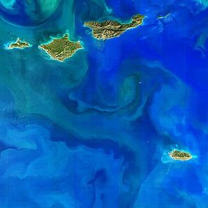 Northwestern Channel Islands