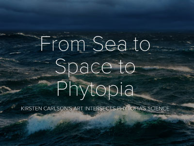 Kirsten Carlson, a scientific illustrator, was the Schmidt Ocean Institute’s Artist-at-Sea during the "Sea to Space Particle Investigation. Her illustrations depict Pacific Ocean plankton between Honolulu and Portland.