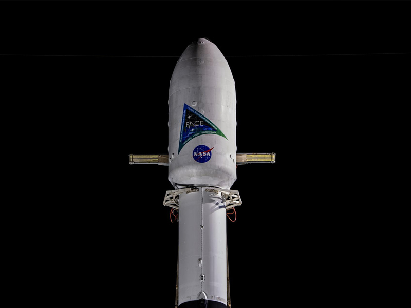 A SpaceX Falcon 9 rocket with NASA’s PACE spacecraft encapsulated atop is raised to a vertical position at Space Launch Complex 40 at Cape Canaveral Space Force Station in Florida on Monday, Feb. 5, 2024.  Credit: SpaceX