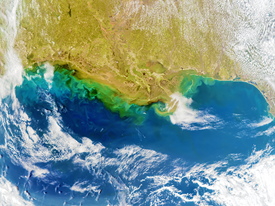With a drainage basin that includes 32 states and 2 Canadian provinces, the Mississippi River empties into the northern Gulf of Mexico. The river brings huge quantities of suspended sediments and nutrients. In some places, an excess of nutrients – for example, from fertilizers – cause large algal blooms that deplete the water of oxygen, a process known eutrophication. Eutrophication can lead to the loss of marine life and decrease biodiversity. Credit: NASA