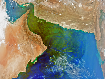 The Gulf of Oman connects the Arabian Sea to the east with the strait of Hormuz to the west. For decades, massive phytoplankton blooms have occurred during the winter in the Gulf of Oman. The swirling bands of green seen here may be caused by a phytoplankton type identified by earlier in-water studies: a dinoflagellate known as Noctiluca scintillans. With its ability to detect hundreds of wavelengths, the OCI may identify phytoplankton communities from space! Credit: NASA