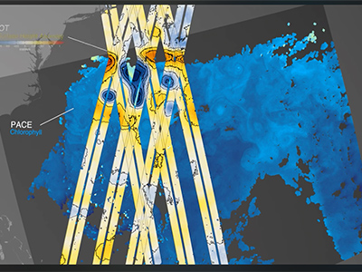 Image shows data taken by NASA’s PACE and the international SWOT satellites over a region of the North Atlantic Ocean. PACE captured phytoplankton data on Aug. 8, 2024; layered on top is SWOT sea level data taken on Aug. 7 and 8, 2024.