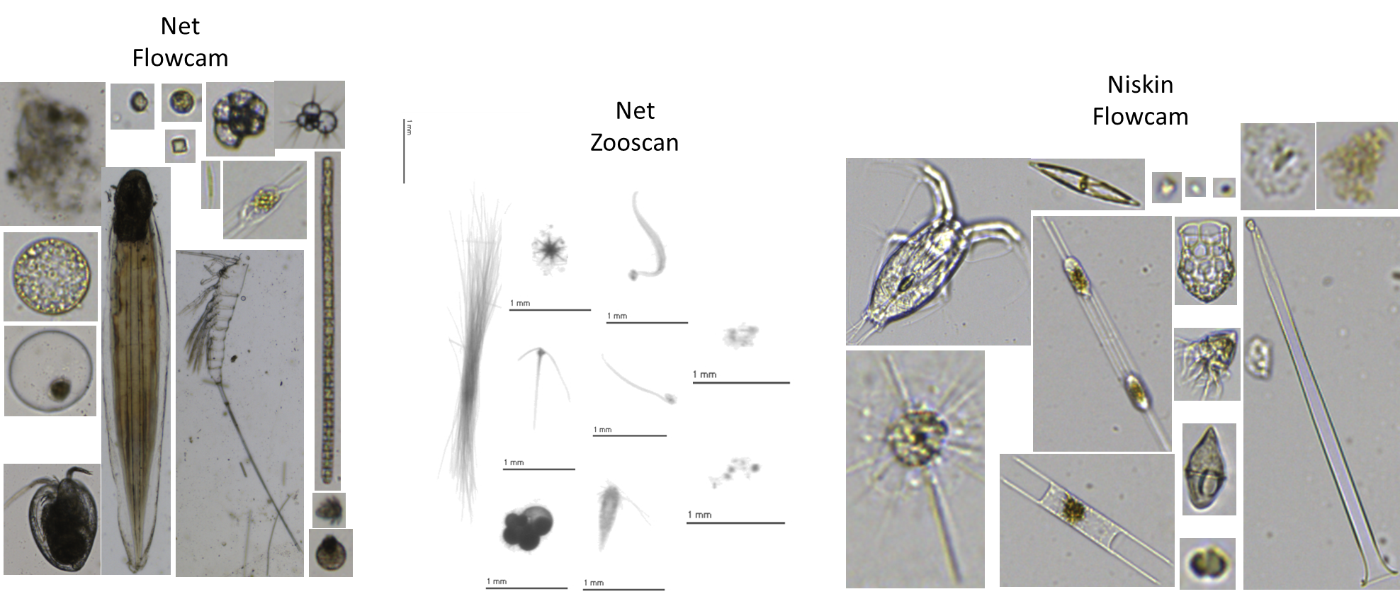 Scientists deploy oceanic instruments