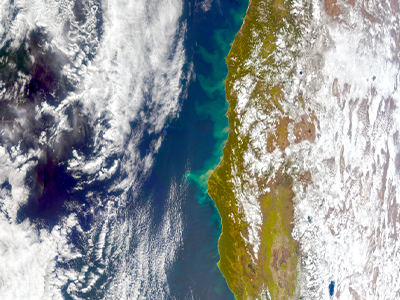 Clear coastal skies reveal phytoplankton swirling offshore of northern California, Oregon, and southern Washington. This productivity is caused by upwelling, when alongshore winds promote the upward movement of deep, nutrient-rich water into the sunlit upper ocean... the perfect recipe for algal growth. Credit: NASA