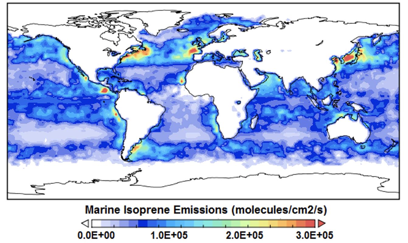 Global emission of marine isoprene, an unsaturated hydrocarbon that can be produced by phytoplankton