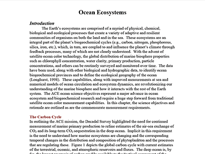 ACE Ocean White Paper