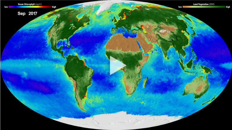 Global view of Earth's biosphere