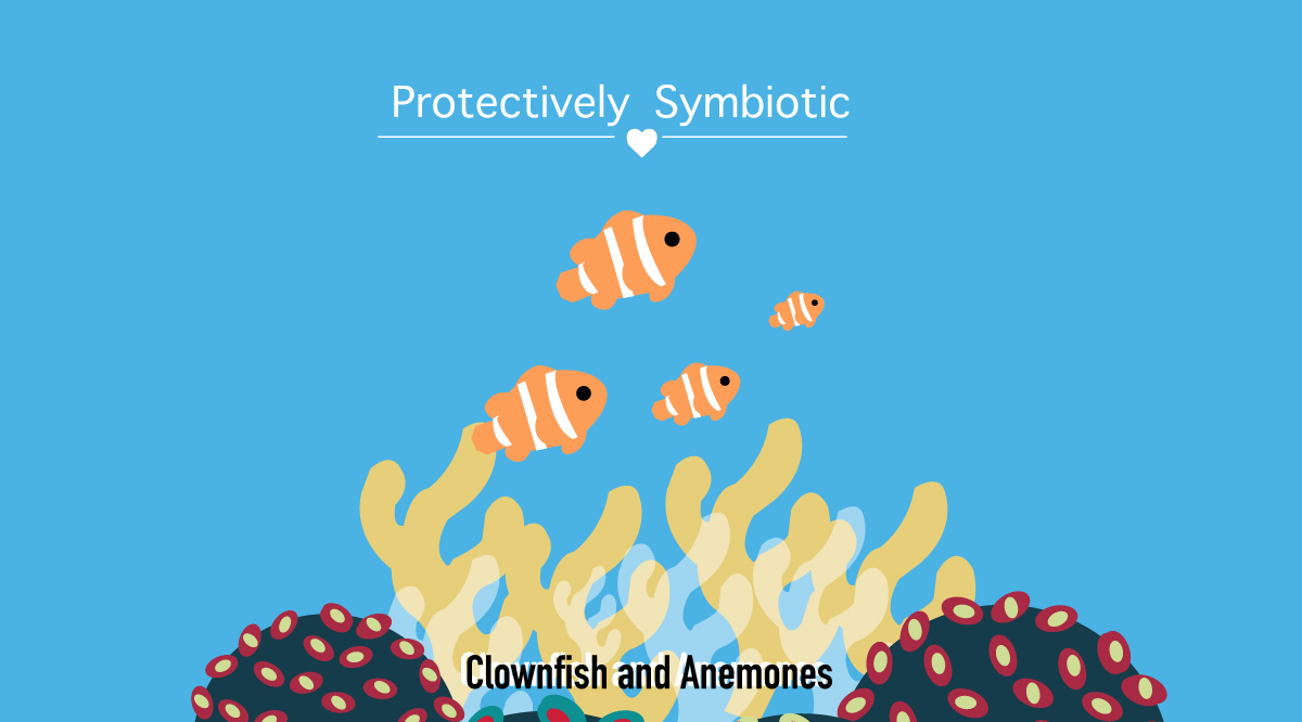 Clownfish and anemone cartoon
