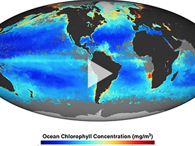 This video shows changes in chlorophyll (milligrams per cubic meter) over time based on data from NASA's Aqua/MODIS instrument. Credit: NASA