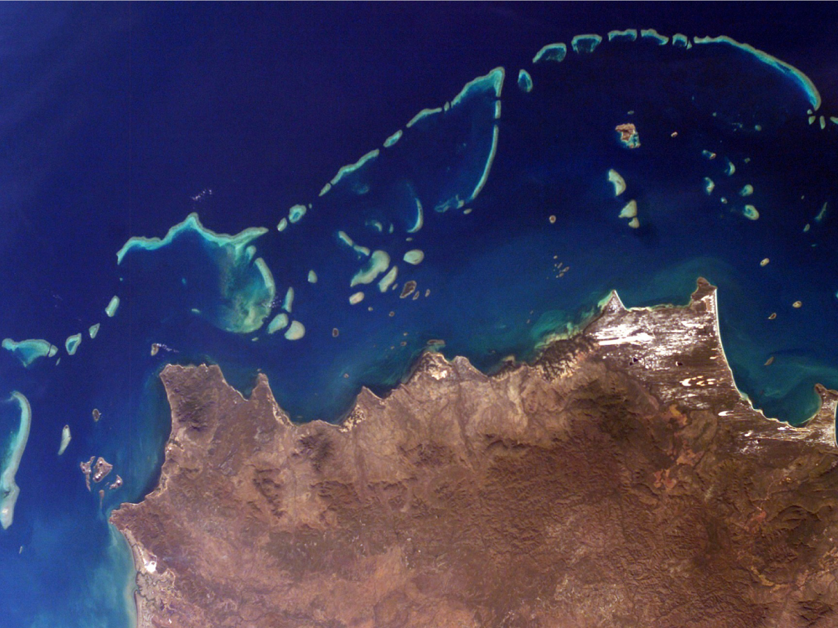 Part of Australia's Great Barrier Reef