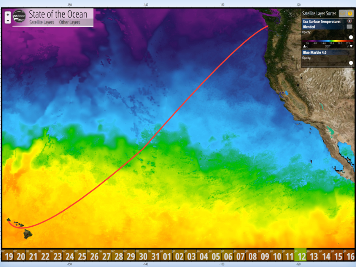 The R/V Falkor cruise track superimposed on a map of sea surface temperature