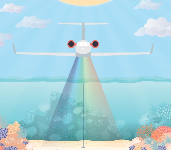 Illustration of an airplane flying over the ocean with coral shown below the water surface