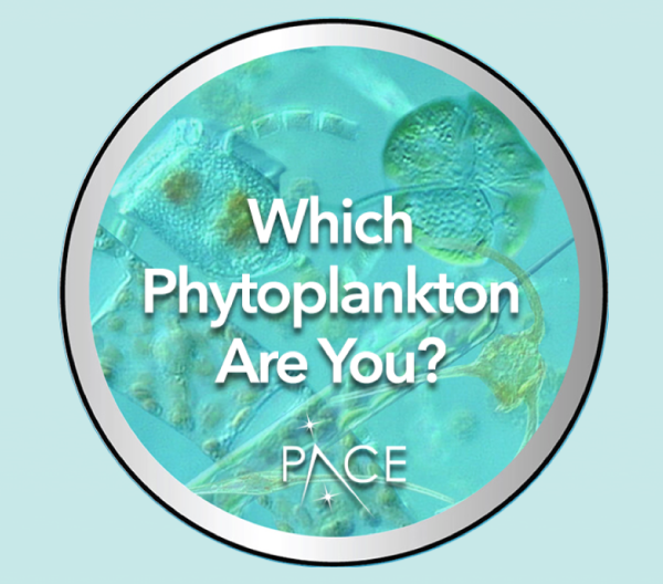 Phytoplankton quiz icon