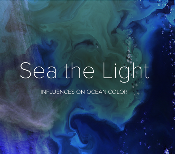 Sea the Light brochure cover page