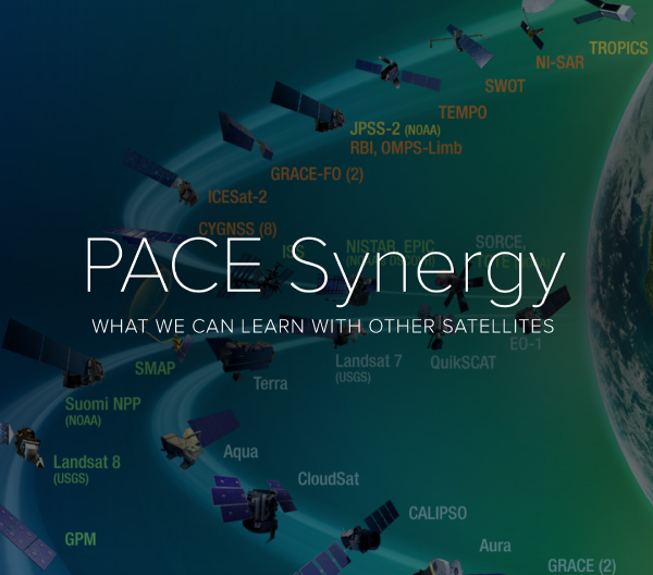 PACE Synergy brochure cover page