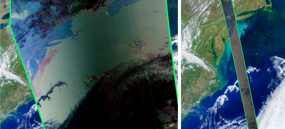 Distribution of Phytoplankton