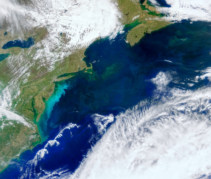 coccolithophore bloom off the U.S. East Coast