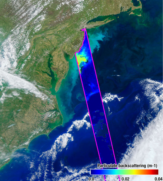 Distribution of Phytoplankton