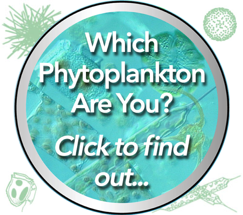 Phytoplankton quiz emblem