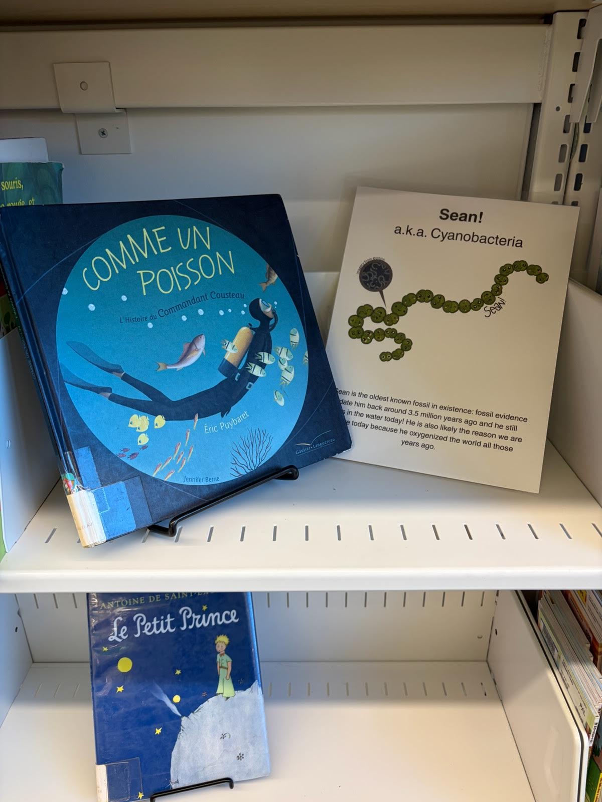 Outreach materials with books