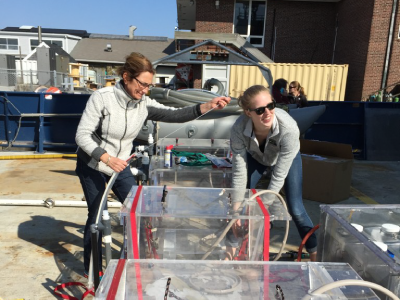 Françoise Morison (URI) and Caitlin Russell secure incubators used to measure phytoplankton growth rates. Credit: Stephanie Schollaert Uz (NASA)