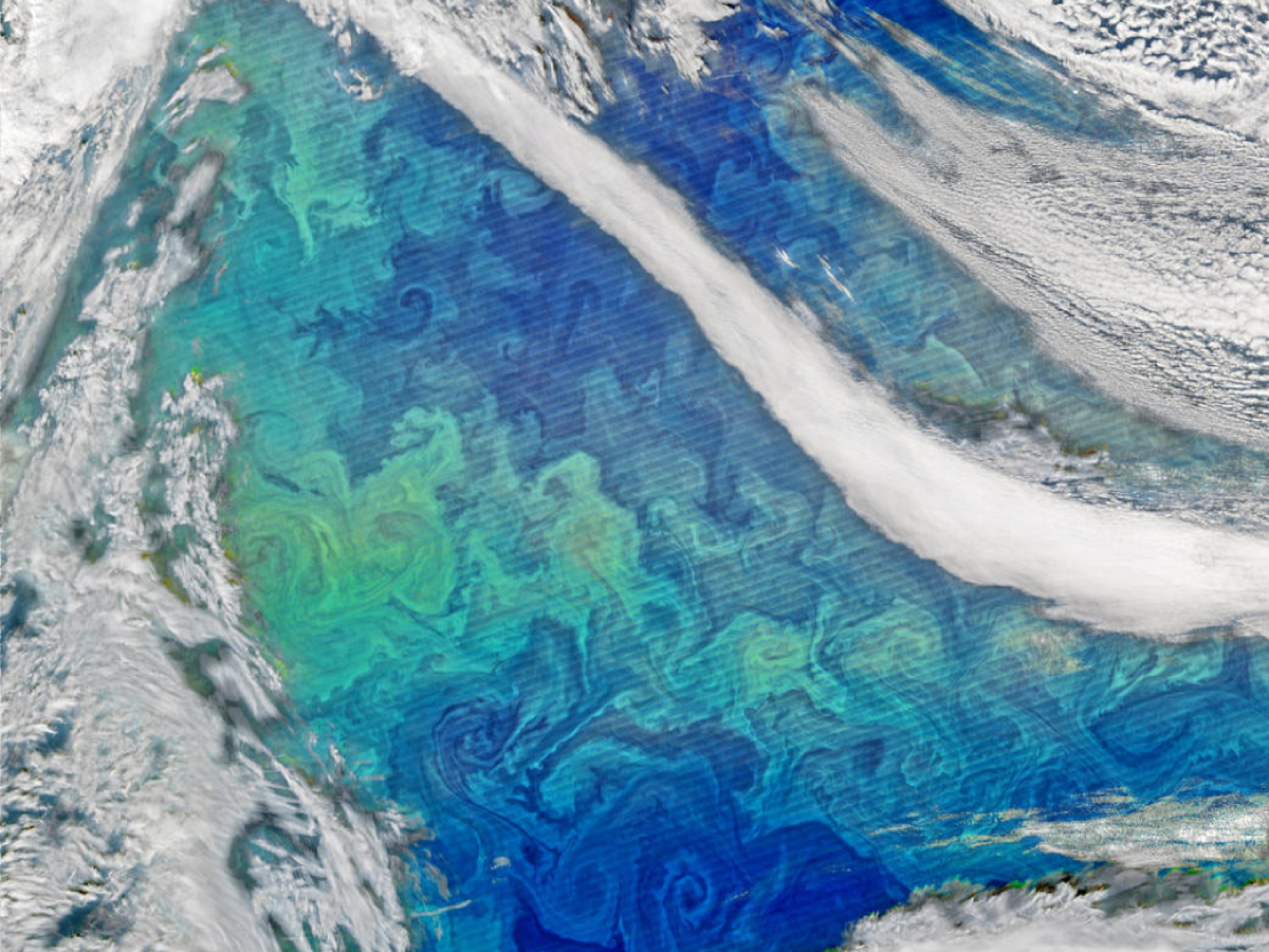 Image of a North Atlantic spring phytoplankton bloom