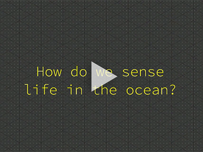 Observing ocean life from shore, to ship, to satellite.