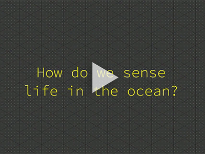 Observing ocean life from shore, to ship, to satellite. Credit: PACE Mission