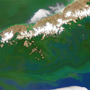 Bering Sea/Alaskan Aleutian Islands