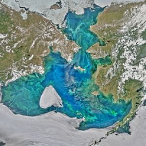 Bering and Chukchi Seas