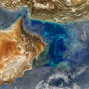 Gulf of Oman & Arabian Sea