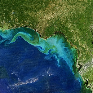 Hurricane Michael Colors the Gulf