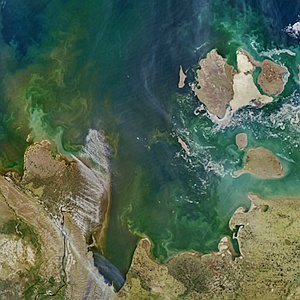 Laptev Sea