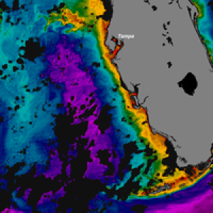 Massive Red Tide Approaching Florida