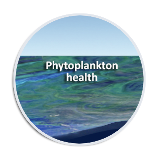 Phytoplankton health
