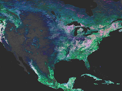 PACE Land Vegetation Data: North America
