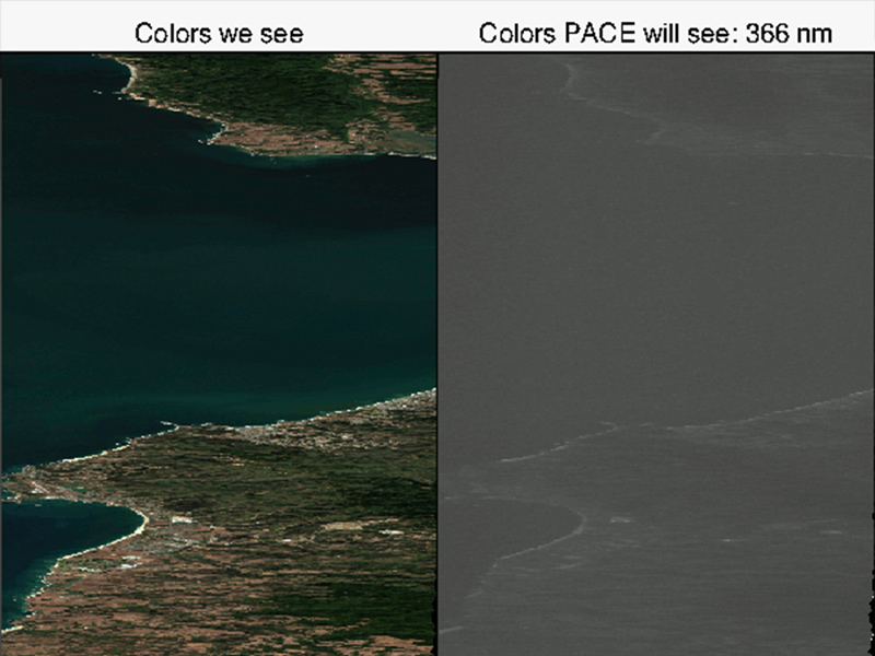 This animation depicts the colors we see (left) vs the colors PACE will see (right) as it loops through the wavelengths between 366 and 2247 nm. Credit: Andy Sayer (NASA)