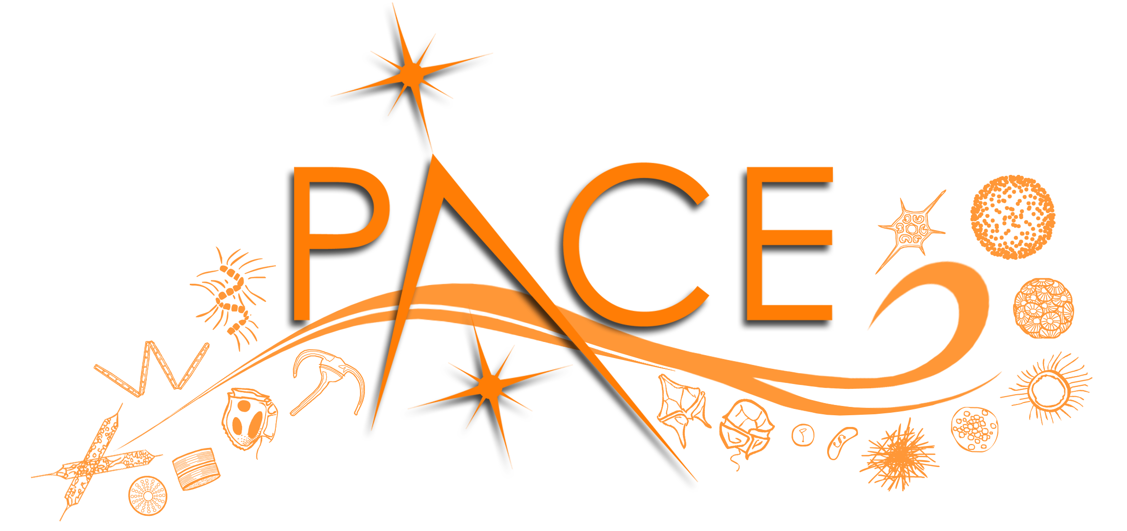 PACE logo
