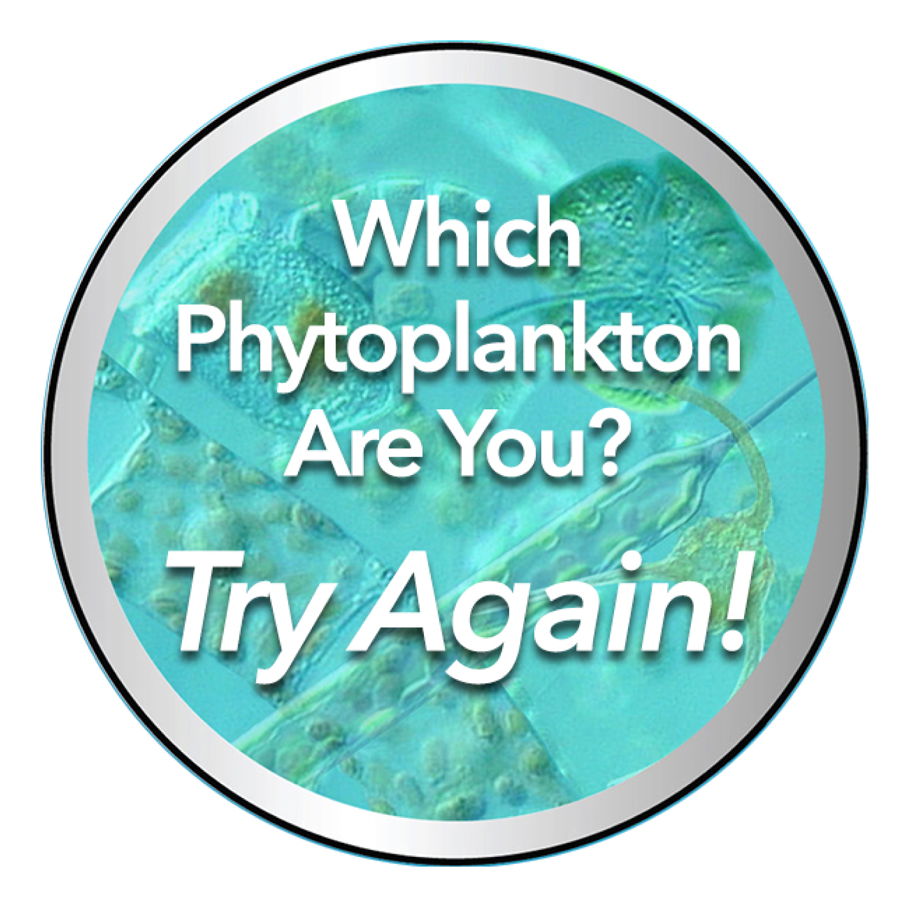 Phyto quiz button