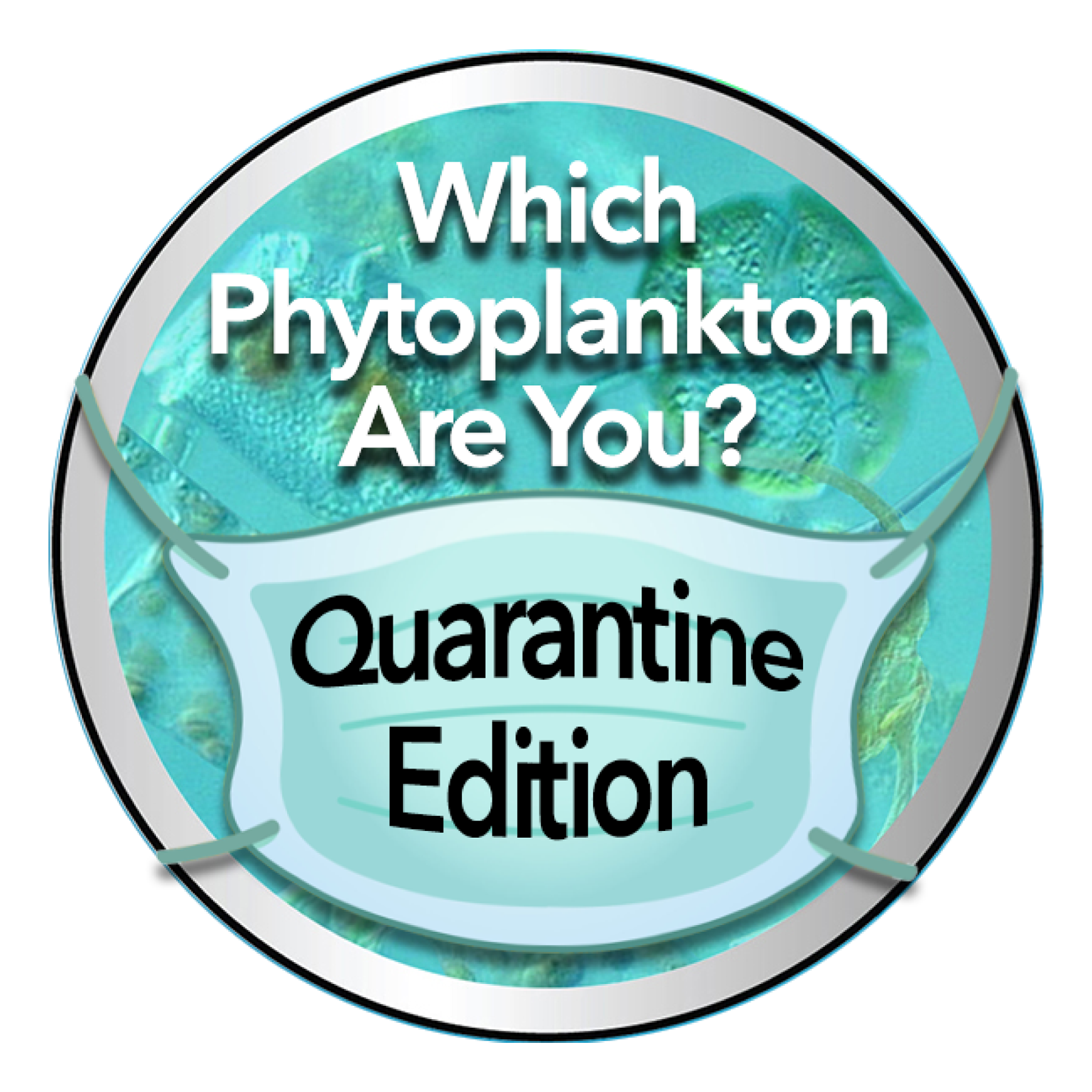 Quarantine quiz button