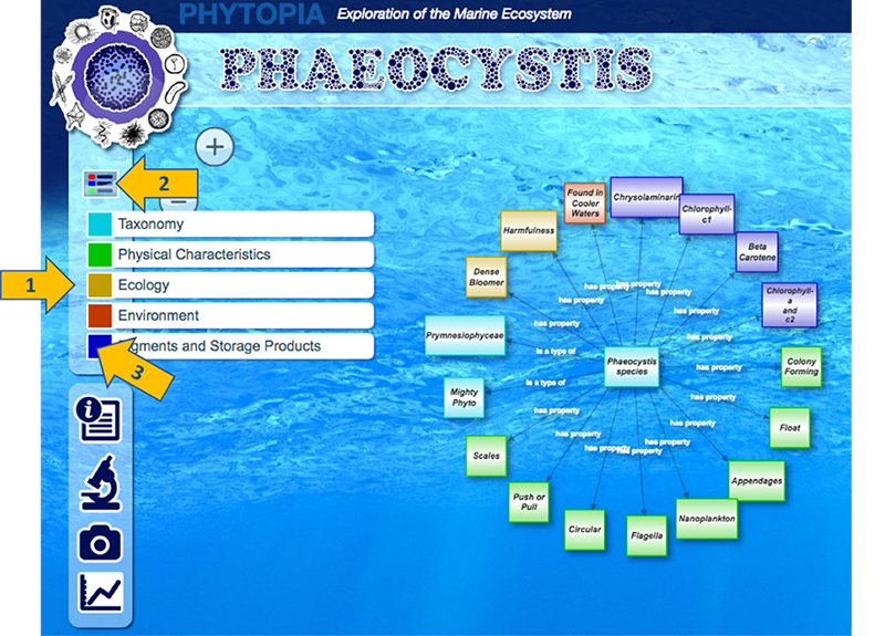 Phytopia interactive (braoder topics grouped by color)