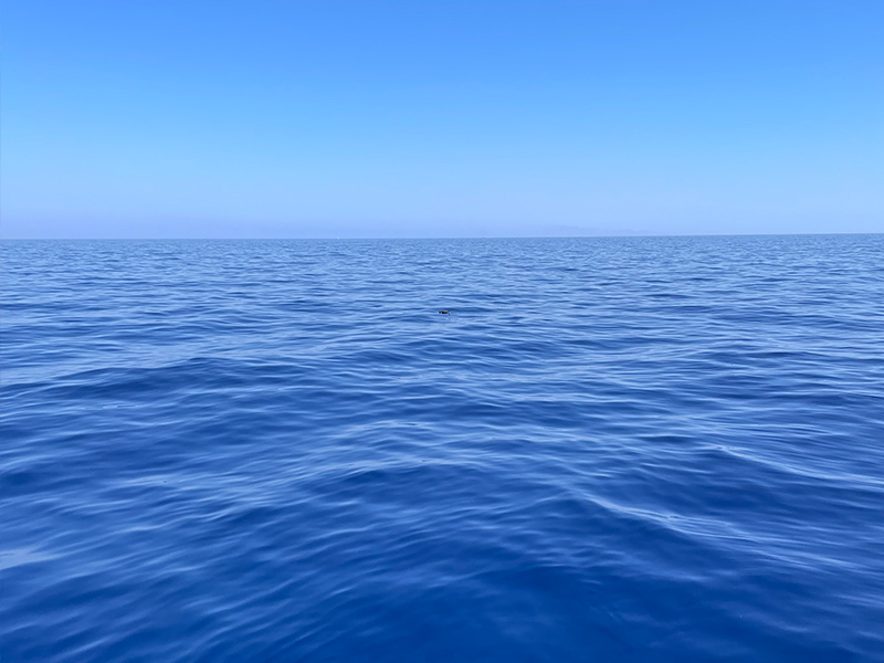 HyperPro buoy in Mediterranean Sea