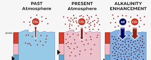 Geoengineering Gulf of Maine