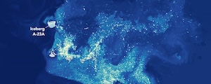 Megaberg Phytoplankton Bloom