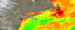 Spring Northwest Atlantic