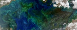 Fisheries Research Partnership