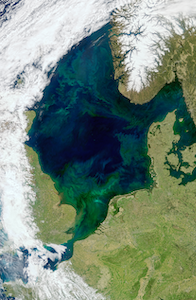 Green Tides Rising